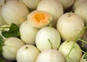 网红吃白兰瓜视频,口感惊艳引网友热议！